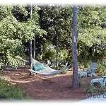 Relax in the hammock area at Muriel's Grove